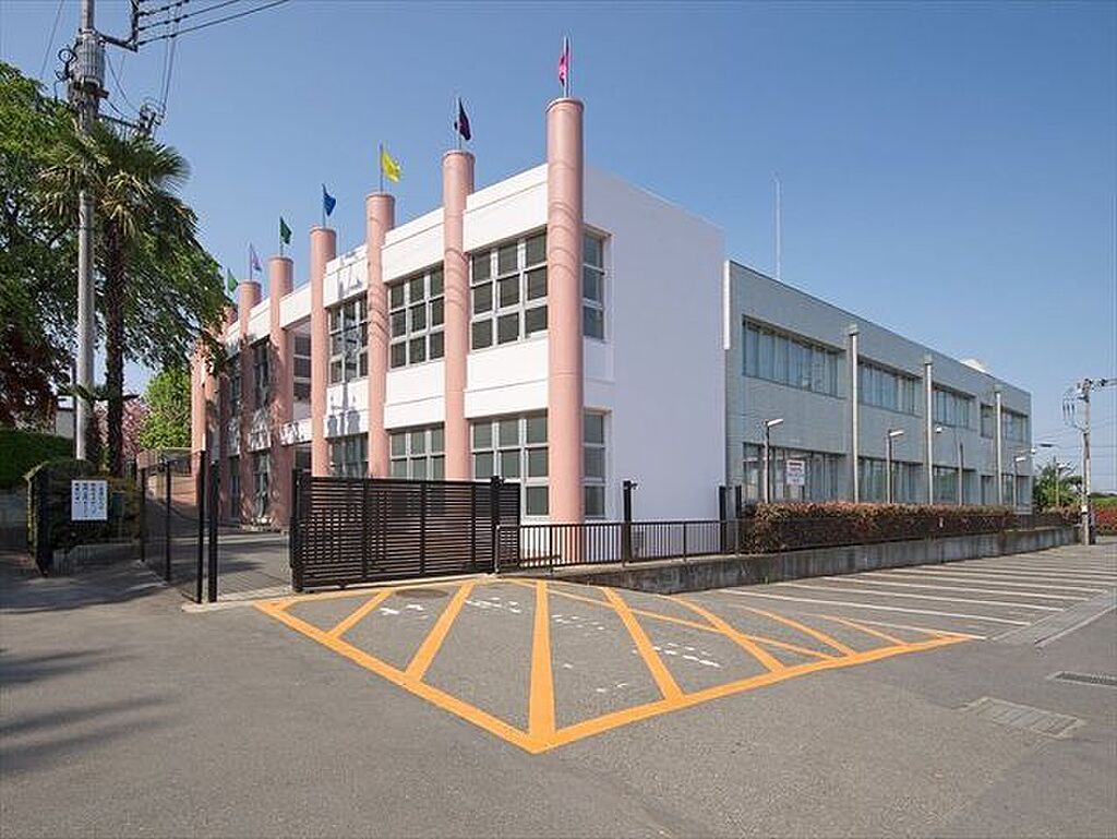 Image 7