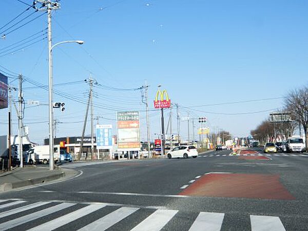 画像12:【ファーストフード】マクドナルド行田バイパス店まで773ｍ