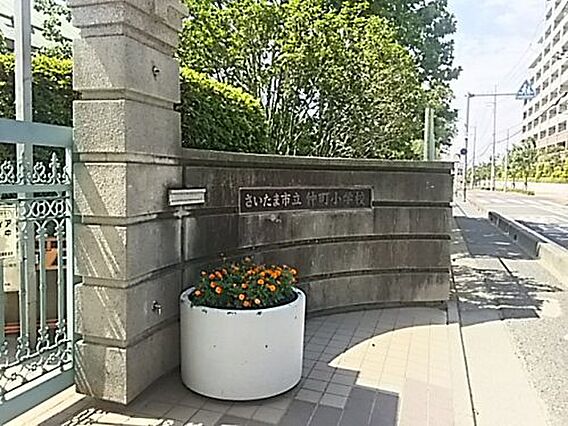 【小学校】さい...