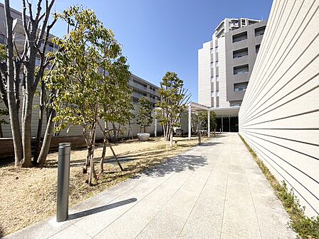 アプローチガーデン(2025年12月撮影)
