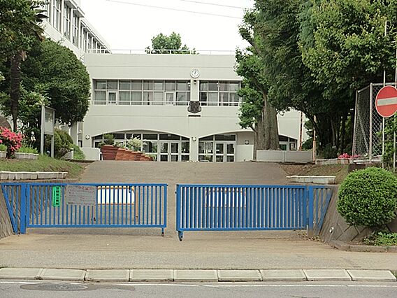 「柏市立大津ケ...