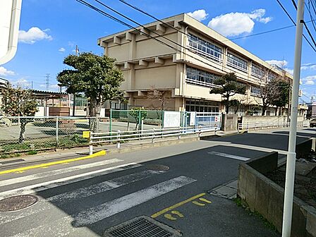 (矢切小学校)