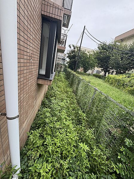 【専用庭】/2026年8月撮影