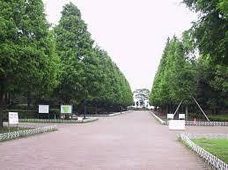 そうか公園(500m)