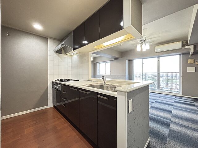 キッチン グランスイート綾瀬桜木橋 11階/-