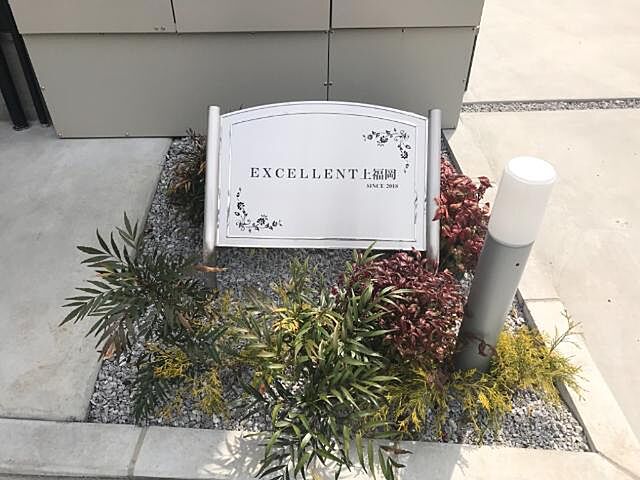 6 / 15