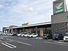 周辺：ヨークマートもねの里店まで553ｍ