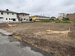 プライムローズ 205