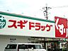 周辺：スギ薬局日根野店まで806ｍ