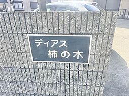 ディアス柿の木