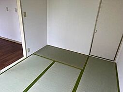 西谷ハイツＣ 0101