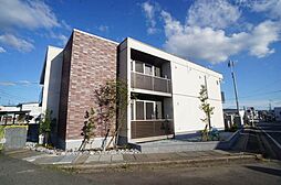 Ｓｈａ　Ｍａｉｓｏｎ　Ｂｅｌｌｅ　Ｃｈａｍｐ 203