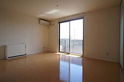 セレナヴィラ 202