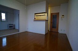 キャップ・類家 201