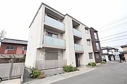 ルピナス　セカンド