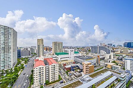 2026年6月撮影