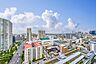 その他：2026年6月撮影