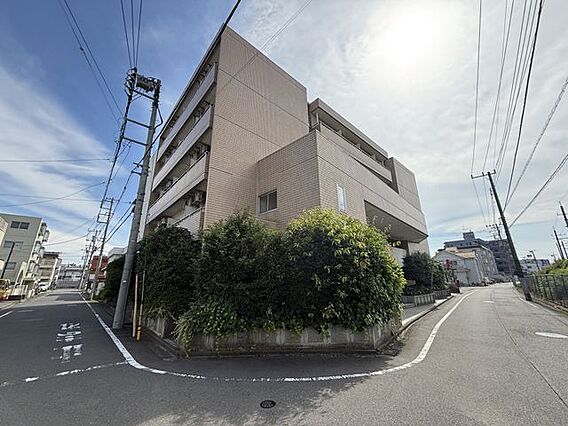写真撮影日20...