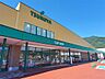 周辺：ツルヤ山口店（651m）