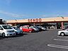 周辺：スーパー「せんどう辰巳台店まで1373m」