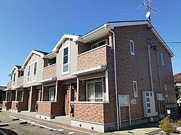 シャルマン　Ｔ．Ｓ 104