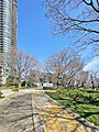 区立檜町公園…...