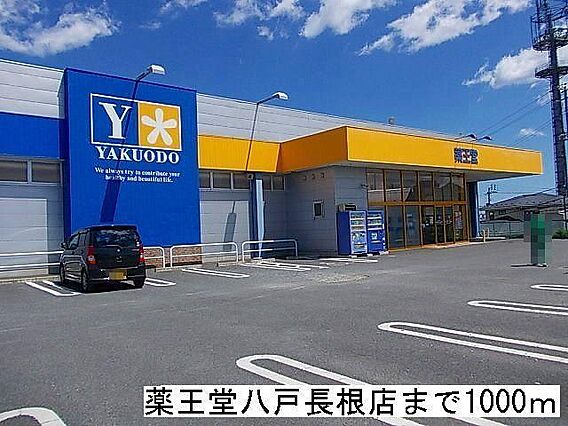 ローバストブリッチ_周辺_1