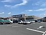 周辺：ケーヨーデイツー柏の葉公園店（1500m）