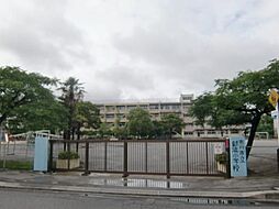 [周辺] 新浜小学校 127m