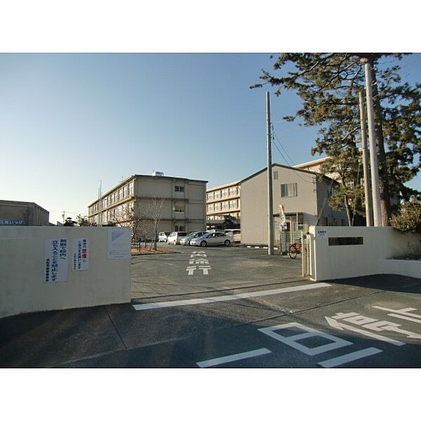 画像30:浜松市立和田小学校 319m
