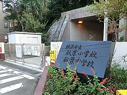 [周辺] 横浜市立秋葉中学校まで1010m、秋葉小学校と隣接しています