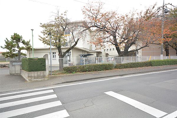 画像5:桜木中学校(1、300m)
