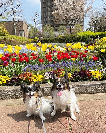 敷地内のテラス