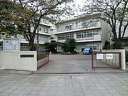 [周辺] 横浜市立大鳥中学校まで720m