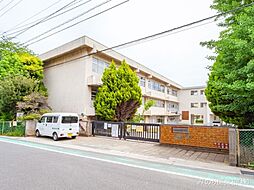 [周辺] 松戸市立上本郷小学校まで80m