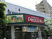 大丸ピーコック 252m