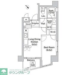 COMFORIA代々木上原 1LDKの間取図画像