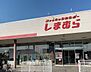 周辺：ファッションセンターしまむら岩根店 徒歩49分。ショッピングセンター 3910m