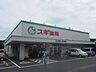 周辺：スギ薬局東大和店 551m