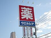 ウエルシア 843m