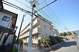7 / 29
