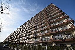 ライオンズマンション調布