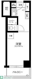 コルム目黒不動前 ワンルームの間取図画像