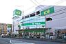 周辺：サミットストア恋ヶ窪店 徒歩10分。スーパー 740m