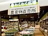 周辺：わくわく広場ららぽーと湘南平塚店 徒歩13分。スーパー 980m