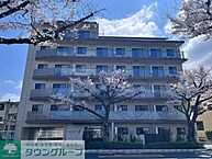東京都府中市是政1丁目30-5：物件画像／株式会社タウンハウジング東京　国分寺店