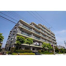 アポロハイツ 703