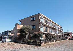 ビーンズパレス