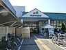 周辺：マルエツ津田沼南店まで700ｍ