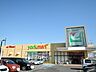 周辺：ヨークマート 伊勢原成瀬店まで1000ｍ